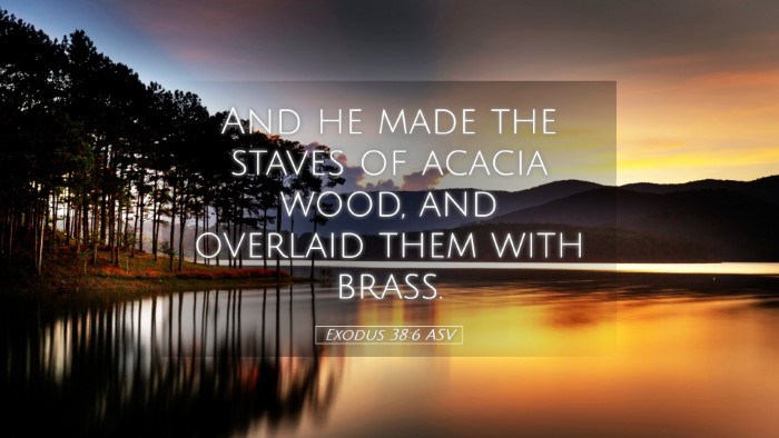 Picture 05 - Exodus 38:6 ASV Desktop Wallpaper - And he made the staves of acacia wood, and - Desktop Bible Verse Wallpaper