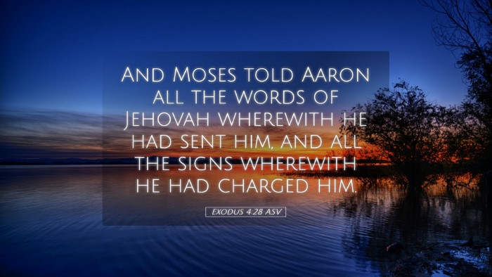 Picture 05 - Exodus 4:28 ASV Desktop Wallpaper - And Moses told Aaron all the words of Jehovah - Desktop Bible Verse Wallpaper