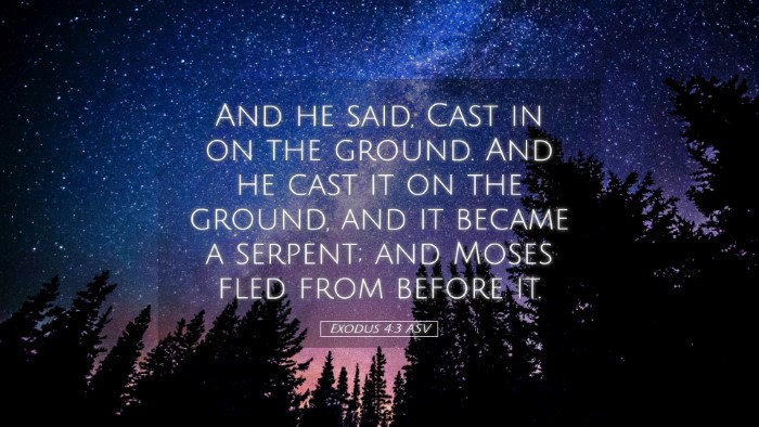 Picture 05 - Exodus 4:3 ASV Desktop Wallpaper - And he said, Cast in on the ground. And he cast - Desktop Bible Verse Wallpaper