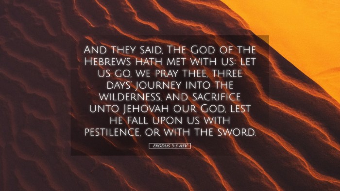 Picture 05 - Exodus 5:3 ASV Desktop Wallpaper - And they said, The God of the Hebrews hath met - Desktop Bible Verse Wallpaper