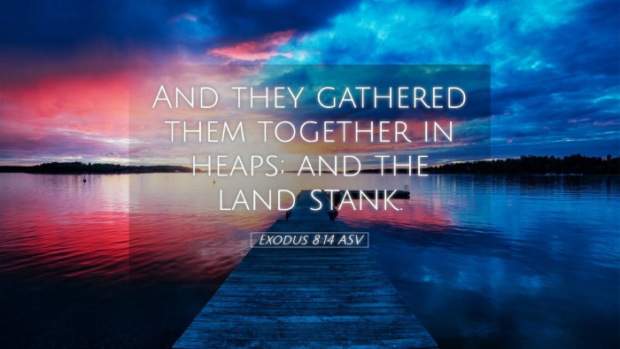 Picture 05 - Exodus 8:14 ASV Desktop Wallpaper - And they gathered them together in heaps; and the - Desktop Bible Verse Wallpaper
