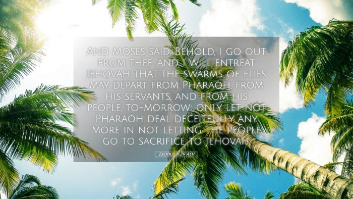 Picture 05 - Exodus 8:29 ASV Desktop Wallpaper - And Moses said, Behold, I go out from thee, and I - Desktop Bible Verse Wallpaper
