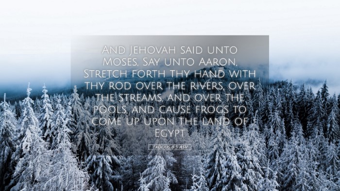 Picture 05 - Exodus 8:5 ASV Desktop Wallpaper - And Jehovah said unto Moses, Say unto Aaron, - Desktop Bible Verse Wallpaper