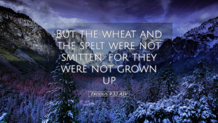Picture 05 - Exodus 9:32 ASV Desktop Wallpaper - But the wheat and the spelt were not smitten: for - Desktop Bible Verse Wallpaper