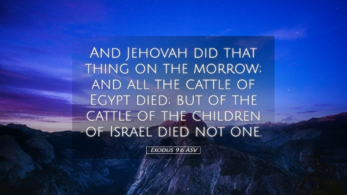 Picture 05 - Exodus 9:6 ASV Desktop Wallpaper - And Jehovah did that thing on the morrow; and all - Desktop Bible Verse Wallpaper