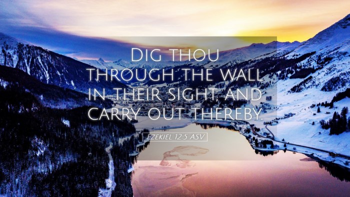 Picture 05 - Ezekiel 12:5 ASV Desktop Wallpaper - Dig thou through the wall in their sight, and - Desktop Bible Verse Wallpaper