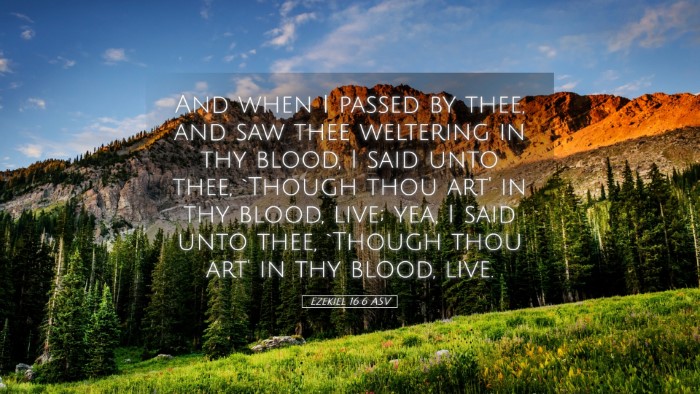 Picture 05 - Ezekiel 16:6 ASV Desktop Wallpaper - And when I passed by thee, and saw thee weltering - Desktop Bible Verse Wallpaper
