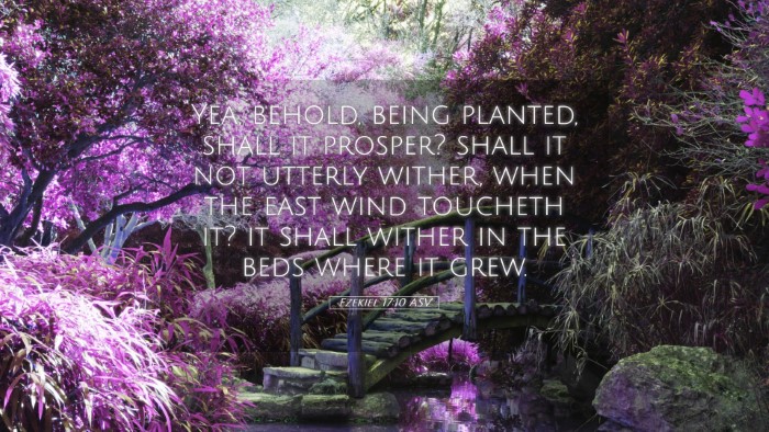 Picture 05 - Ezekiel 17:10 ASV Desktop Wallpaper - Yea, behold, being planted, shall it prosper? - Desktop Bible Verse Wallpaper