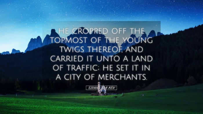 Picture 05 - Ezekiel 17:4 ASV Desktop Wallpaper - he cropped off the topmost of the young twigs - Desktop Bible Verse Wallpaper
