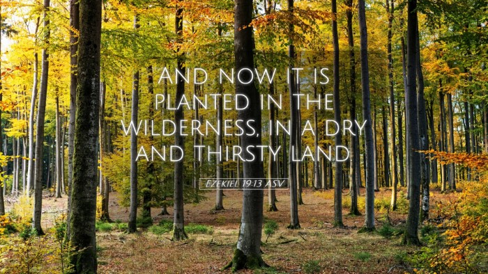 Picture 05 - Ezekiel 19:13 ASV Desktop Wallpaper - And now it is planted in the wilderness, in a dry - Desktop Bible Verse Wallpaper