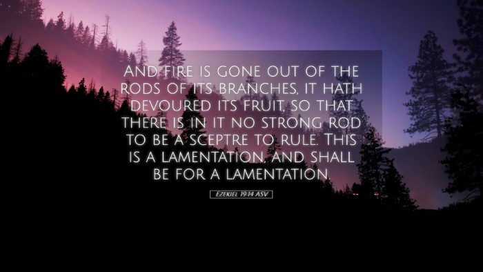 Picture 05 - Ezekiel 19:14 ASV Desktop Wallpaper - And fire is gone out of the rods of its branches, - Desktop Bible Verse Wallpaper