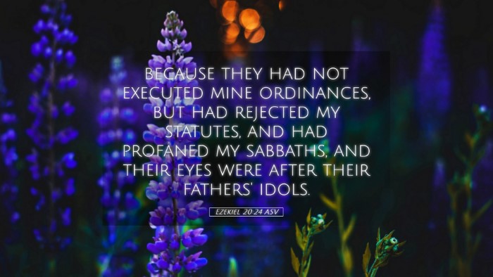 Picture 05 - Ezekiel 20:24 ASV Desktop Wallpaper - because they had not executed mine ordinances, - Desktop Bible Verse Wallpaper