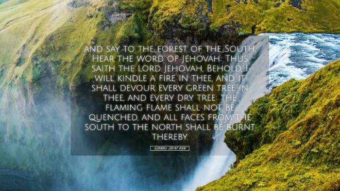 Picture 05 - Ezekiel 20:47 ASV Desktop Wallpaper - and say to the forest of the South, Hear the word - Desktop Bible Verse Wallpaper