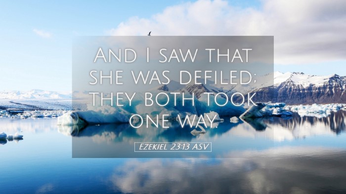 Picture 05 - Ezekiel 23:13 ASV Desktop Wallpaper - And I saw that she was defiled; they both took - Desktop Bible Verse Wallpaper