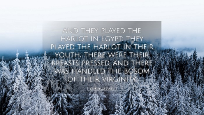 Picture 05 - Ezekiel 23:3 ASV Desktop Wallpaper - and they played the harlot in Egypt; they played - Desktop Bible Verse Wallpaper