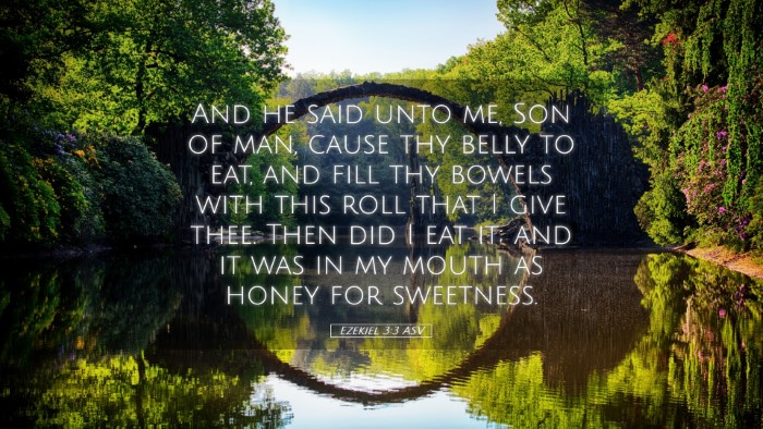 Picture 05 - Ezekiel 3:3 ASV Desktop Wallpaper - And he said unto me, Son of man, cause thy belly - Desktop Bible Verse Wallpaper