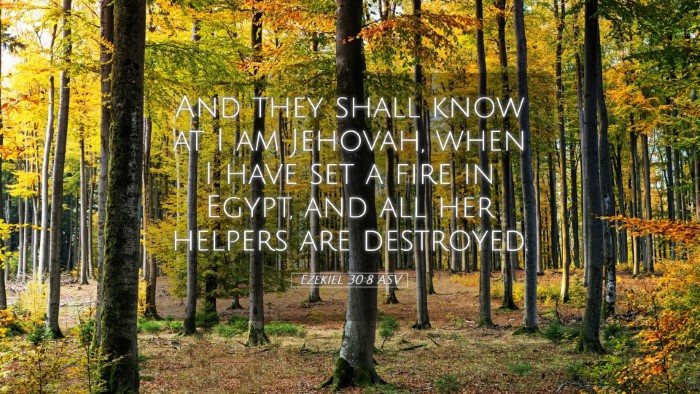 Picture 05 - Ezekiel 30:8 ASV Desktop Wallpaper - And they shall know at I am Jehovah, when I have - Desktop Bible Verse Wallpaper