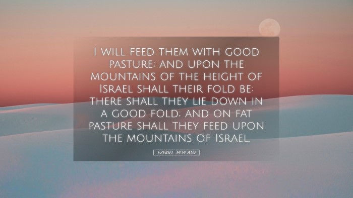 Picture 05 - Ezekiel 34:14 ASV Desktop Wallpaper - I will feed them with good pasture; and upon the - Desktop Bible Verse Wallpaper