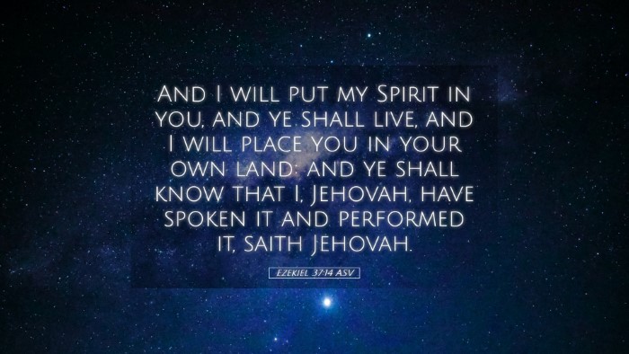Picture 05 - Ezekiel 37:14 ASV Desktop Wallpaper - And I will put my Spirit in you, and ye shall - Desktop Bible Verse Wallpaper