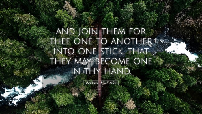 Picture 05 - Ezekiel 37:17 ASV Desktop Wallpaper - and join them for thee one to another into one - Desktop Bible Verse Wallpaper