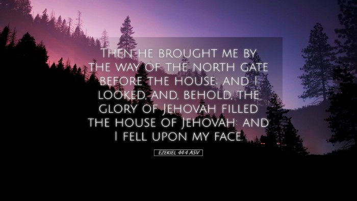 Picture 05 - Ezekiel 44:4 ASV Desktop Wallpaper - Then he brought me by the way of the north gate - Desktop Bible Verse Wallpaper