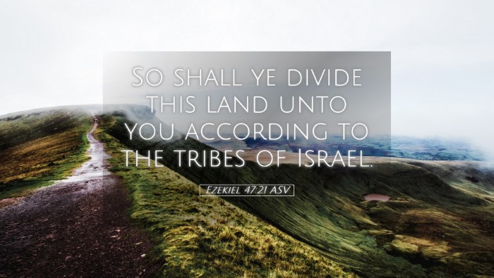 Picture 05 - Ezekiel 47:21 ASV Desktop Wallpaper - So shall ye divide this land unto you according - Desktop Bible Verse Wallpaper