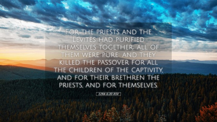 Picture 05 - Ezra 6:20 ASV Desktop Wallpaper - For the priests and the Levites had purified - Desktop Bible Verse Wallpaper
