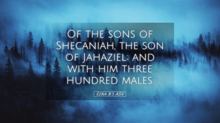 Picture 05 - Ezra 8:5 ASV Desktop Wallpaper - Of the sons of Shecaniah, the son of Jahaziel; - Desktop Bible Verse Wallpaper