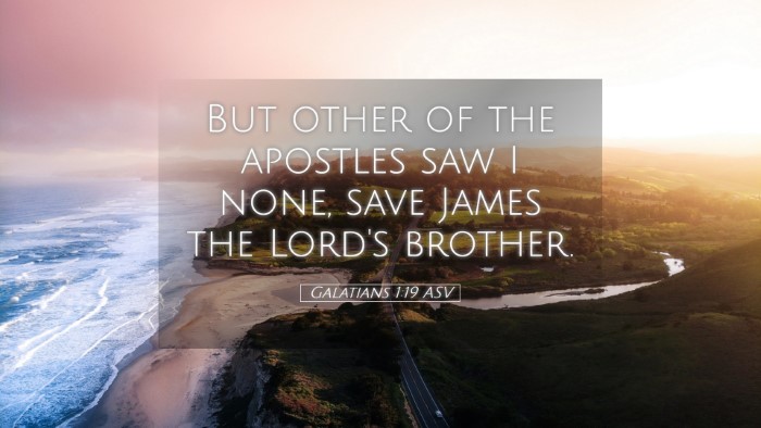 Picture 05 - Galatians 1:19 ASV Desktop Wallpaper - But other of the apostles saw I none, save James - Desktop Bible Verse Wallpaper
