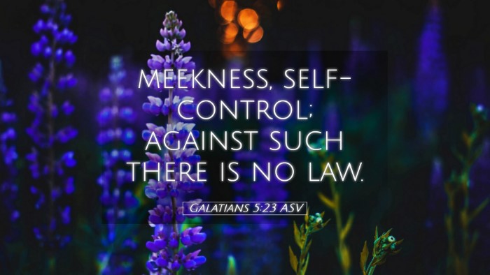 Picture 05 - Galatians 5:23 ASV Desktop Wallpaper - meekness, self-control; against such there is no - Desktop Bible Verse Wallpaper
