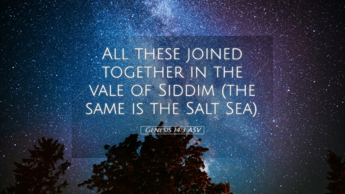 Picture 05 - Genesis 14:3 ASV Desktop Wallpaper - All these joined together in the vale of Siddim - Desktop Bible Verse Wallpaper