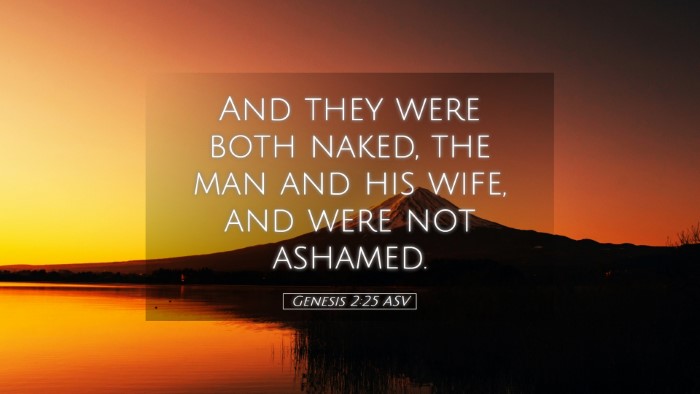Picture 05 - Genesis 2:25 ASV Desktop Wallpaper - And they were both naked, the man and his wife, - Desktop Bible Verse Wallpaper
