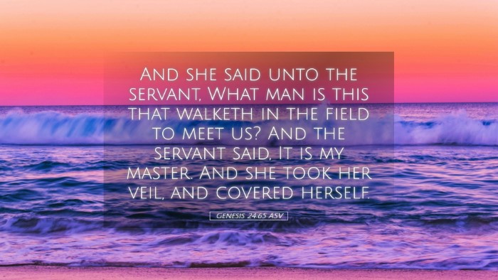 Picture 05 - Genesis 24:65 ASV Desktop Wallpaper - And she said unto the servant, What man is this - Desktop Bible Verse Wallpaper