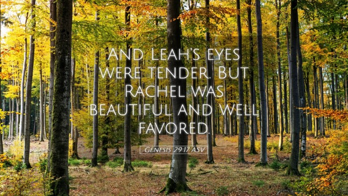 Picture 05 - Genesis 29:17 ASV Desktop Wallpaper - And Leah's eyes were tender. But Rachel was - Desktop Bible Verse Wallpaper