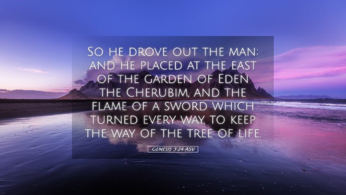 Picture 05 - Genesis 3:24 ASV Desktop Wallpaper - So he drove out the man; and he placed at the - Desktop Bible Verse Wallpaper