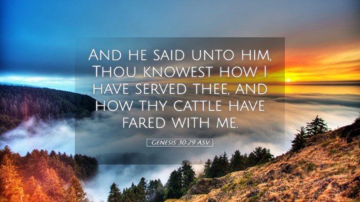 Picture 05 - Genesis 30:29 ASV Desktop Wallpaper - And he said unto him, Thou knowest how I have - Desktop Bible Verse Wallpaper