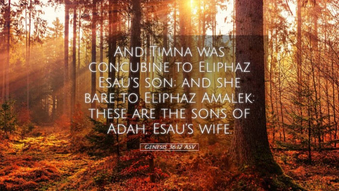 Picture 05 - Genesis 36:12 ASV Desktop Wallpaper - And Timna was concubine to Eliphaz Esau's son; - Desktop Bible Verse Wallpaper