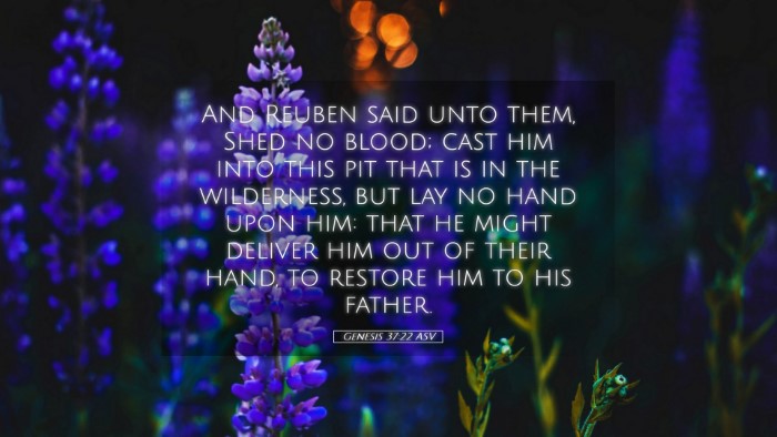 Picture 05 - Genesis 37:22 ASV Desktop Wallpaper - And Reuben said unto them, Shed no blood; cast - Desktop Bible Verse Wallpaper