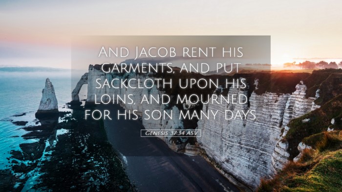 Picture 05 - Genesis 37:34 ASV Desktop Wallpaper - And Jacob rent his garments, and put sackcloth - Desktop Bible Verse Wallpaper