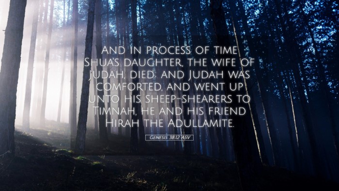 Picture 05 - Genesis 38:12 ASV Desktop Wallpaper - And in process of time Shua's daughter, the wife - Desktop Bible Verse Wallpaper