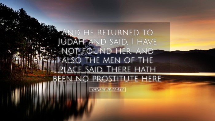 Picture 05 - Genesis 38:22 ASV Desktop Wallpaper - And he returned to Judah, and said, I have not - Desktop Bible Verse Wallpaper