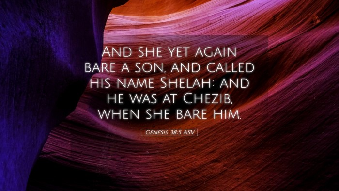 Picture 05 - Genesis 38:5 ASV Desktop Wallpaper - And she yet again bare a son, and called his name - Desktop Bible Verse Wallpaper
