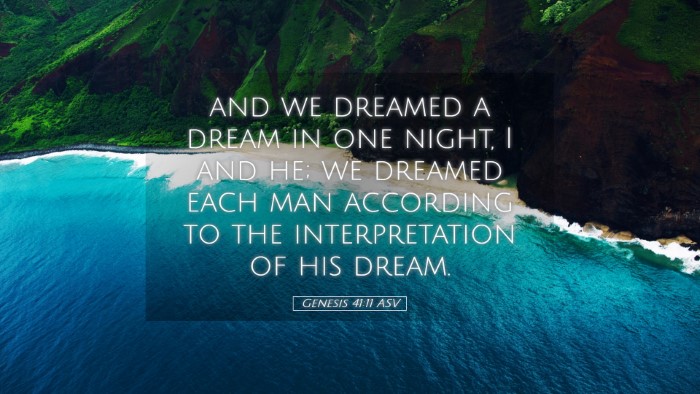 Picture 05 - Genesis 41:11 ASV Desktop Wallpaper - and we dreamed a dream in one night, I and he; we - Desktop Bible Verse Wallpaper
