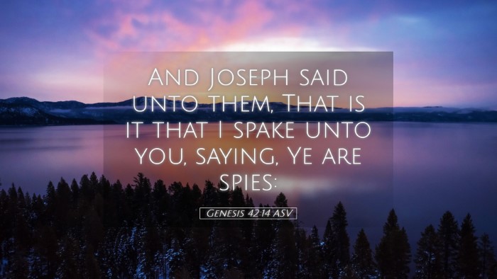 Picture 05 - Genesis 42:14 ASV Desktop Wallpaper - And Joseph said unto them, That is it that I - Desktop Bible Verse Wallpaper
