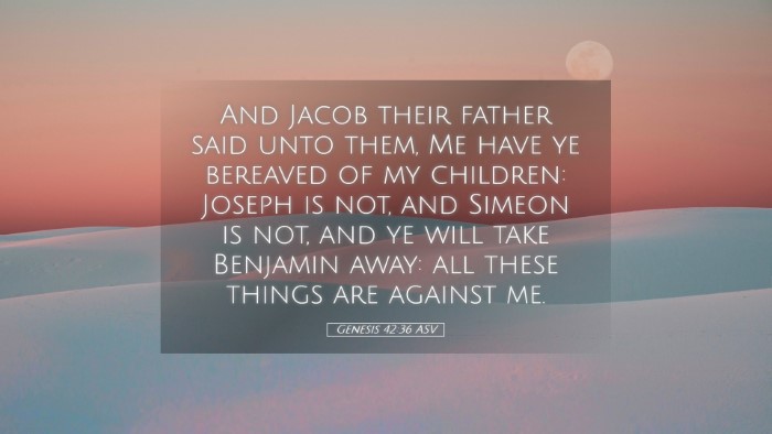 Picture 05 - Genesis 42:36 ASV Desktop Wallpaper - And Jacob their father said unto them, Me have ye - Desktop Bible Verse Wallpaper