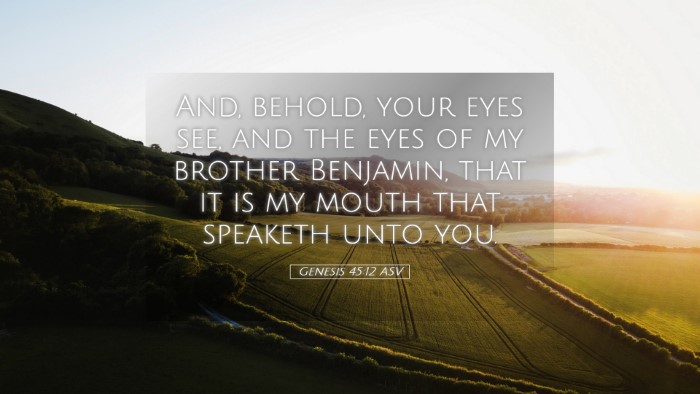 Picture 05 - Genesis 45:12 ASV Desktop Wallpaper - And, behold, your eyes see, and the eyes of my - Desktop Bible Verse Wallpaper