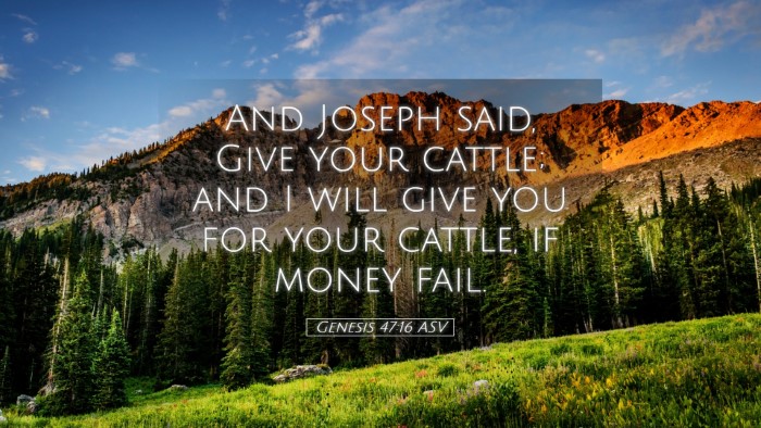 Picture 05 - Genesis 47:16 ASV Desktop Wallpaper - And Joseph said, Give your cattle; and I will - Desktop Bible Verse Wallpaper