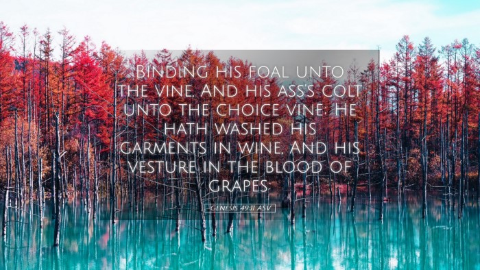 Picture 05 - Genesis 49:11 ASV Desktop Wallpaper - Binding his foal unto the vine, And his ass's - Desktop Bible Verse Wallpaper