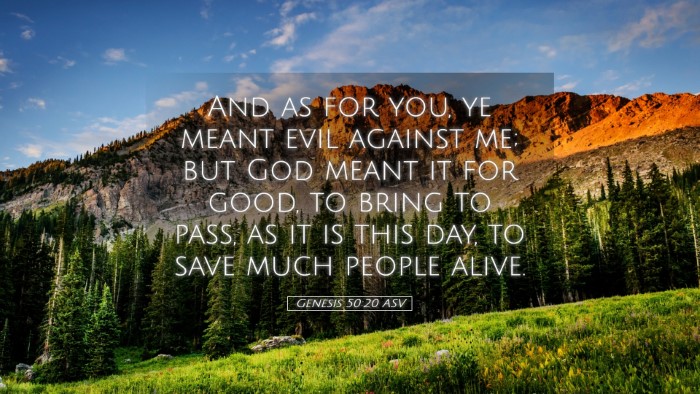 Picture 05 - Genesis 50:20 ASV Desktop Wallpaper - And as for you, ye meant evil against me; but God - Desktop Bible Verse Wallpaper