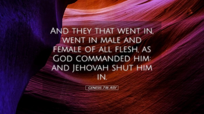 Picture 05 - Genesis 7:16 ASV Desktop Wallpaper - And they that went in, went in male and female of - Desktop Bible Verse Wallpaper
